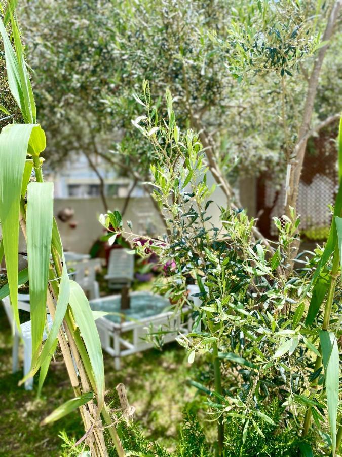 Villa Rocco Rooms Santa Teresa Gallura Exterior photo